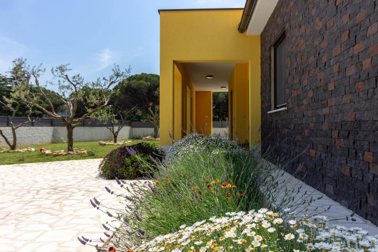 Modern Villa Eve In Medulin With Pool Near The Beach المظهر الخارجي الصورة